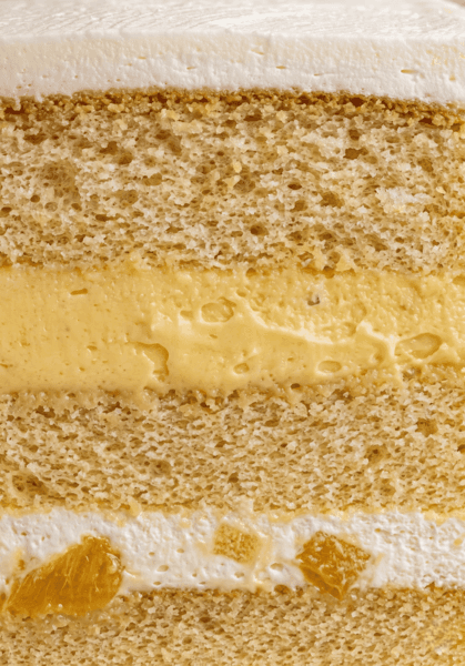 Tarta Yogur con mango y maracuyá - vista alternativa