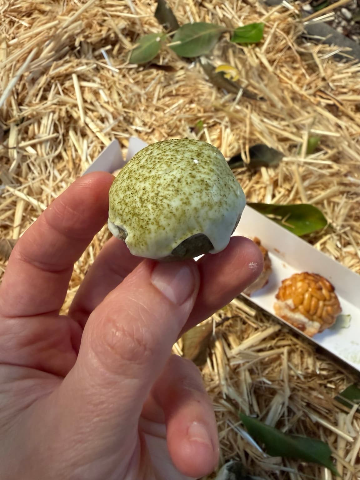 Panellet matcha